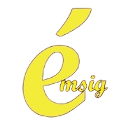 GROUPE EMSIG